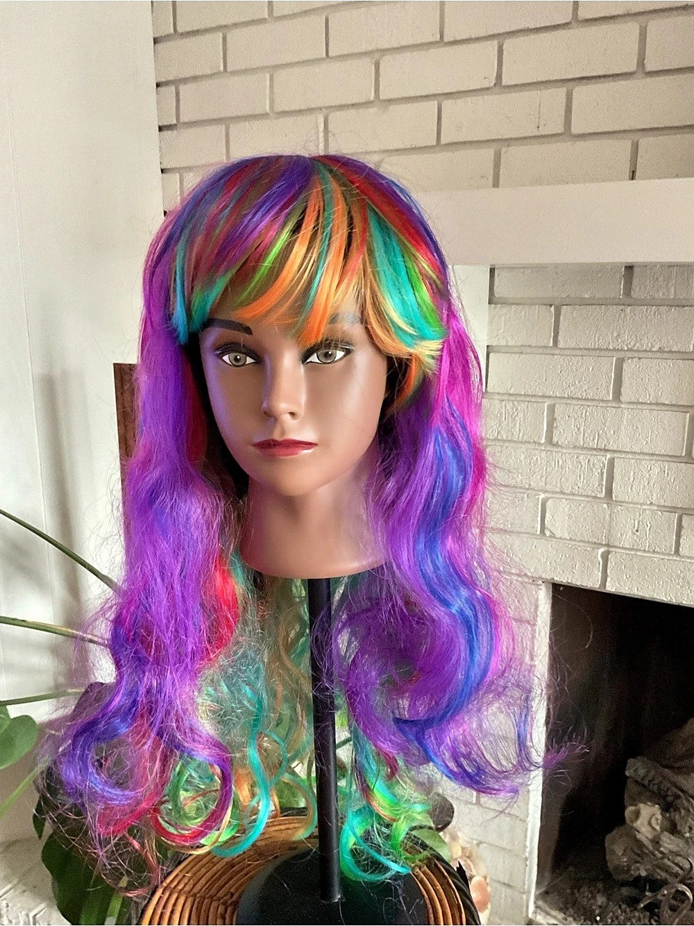Multicolor Long Wavy Wig Like New